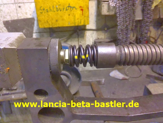ANMP0253