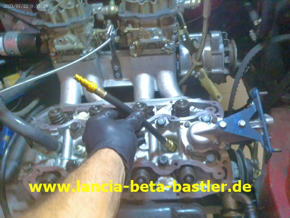 ANMP0264