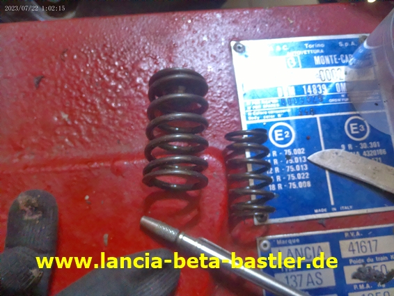 ANMP0269